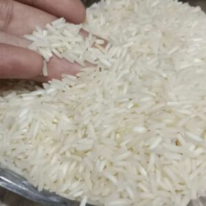 Thailand Rice